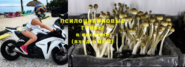 кокс Абдулино